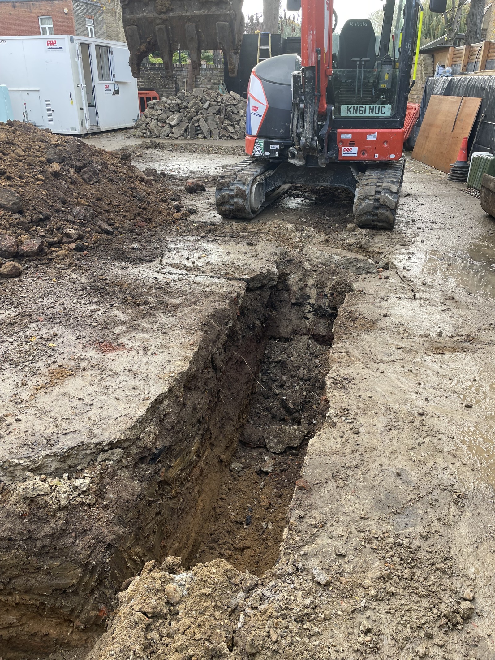 Blossom House construction progress