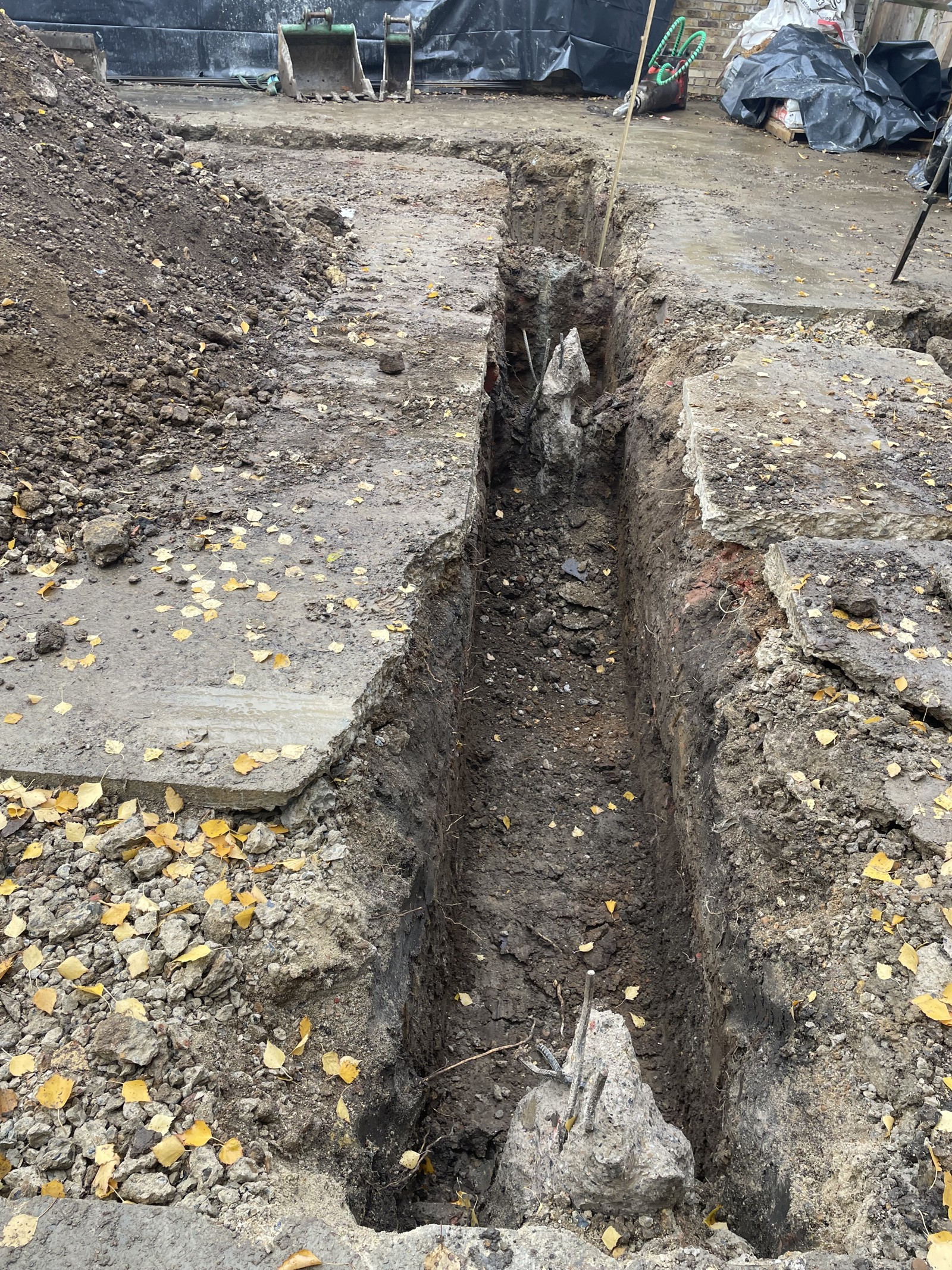 Blossom House construction progress